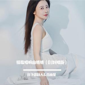 情歌唱响山坡坡 (DJ版)