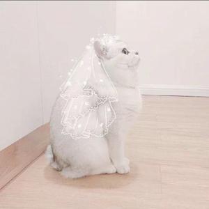 多想在平庸的生活拥抱你