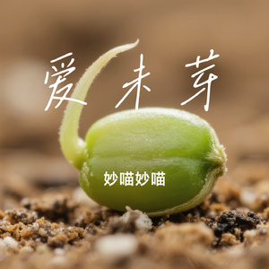 爱未芽