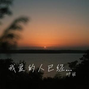 我爱的人已经爱过我了 (Cover 田园)