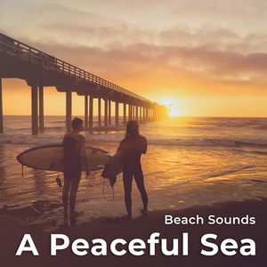 Swirling Tide Forests