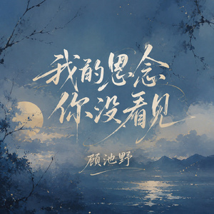 我的思念你没看见