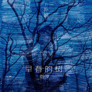 早春的树（指弹）