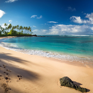 Bajo Las Olas