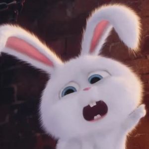 我们都是幸运观众