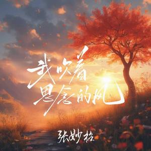 我吹着思念的风