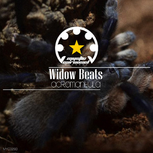 The Beatitudinem Experimentation