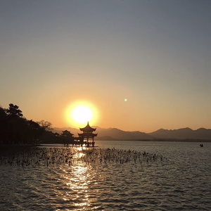 西子游