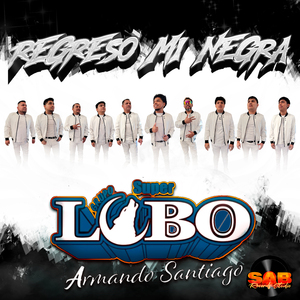 Regresó Mi Negra (Cover)