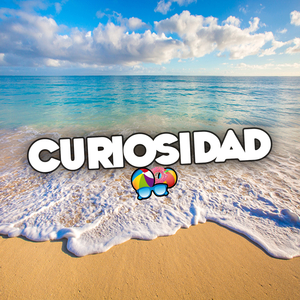 Curiosidad (Remix)