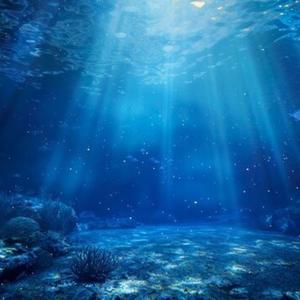 生命の源２（改訂版）