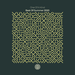 Move Me (Hot TuneiK Remix)