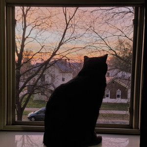 When Everything Goes Wrong