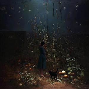 Шоста стадія