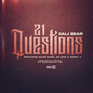 21 Questions (feat. Chief Camo, APLOOK & Danny V)
