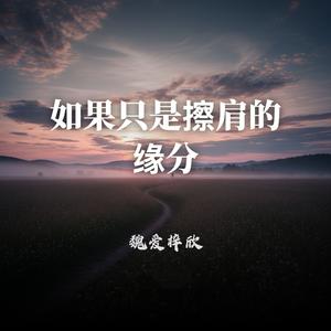 如果只是擦肩的缘分
