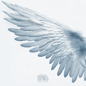 Порхать