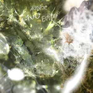 unotheactivist_it's up