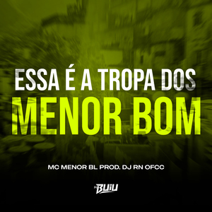 Essa é a Tropa Dos Menor Bom