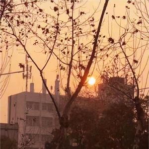 阴暗世界里的小太阳