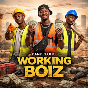 Working Boiz