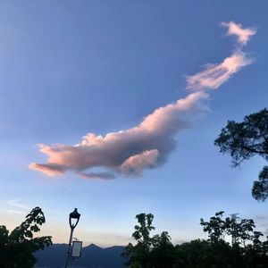 homie（prod by Siren）