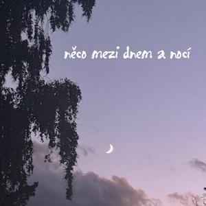 převozník (feat. WADER)
