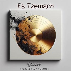 Es tzemach