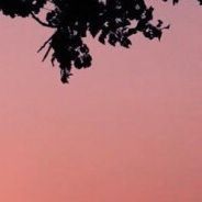 是否已经开始阮经天