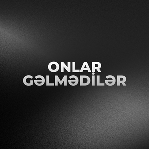 Onlar Gəlmədilər