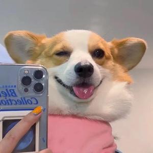 Mood（翻自 Lil Ghost小鬼）