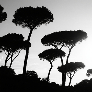 Terjebak di Masa Lalu