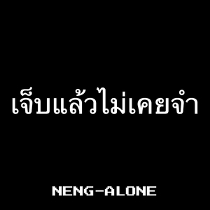 เจ็บแล้วไม่เคยจำ