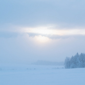 冬暁のまばたき