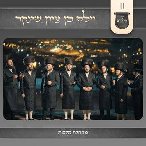 וולס בן ציון שינקר