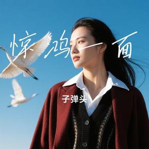 惊鸿一面 (Cover 许嵩 & 黄龄)
