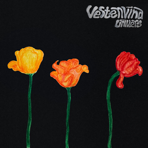 Vestenvind