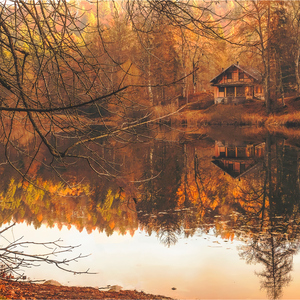 Dancing With Your Ghost