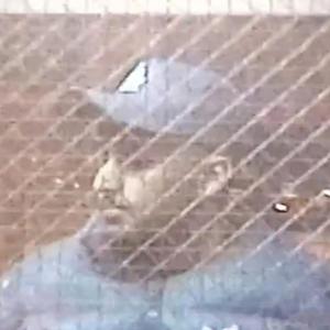 Haan Diye (feat. Jassa G & 80 Records)