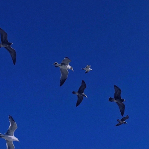 唯一（吉他弹唱）