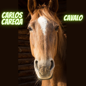 Cavalo (2cavalos)