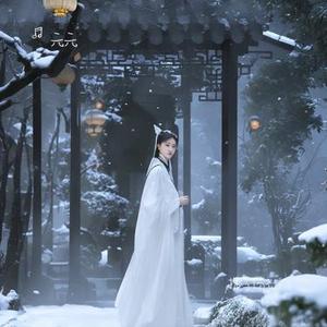拂雪谒仙门