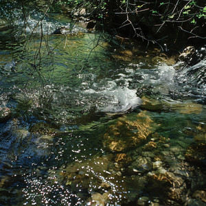 Relaxing Binaural Brooks for Peace