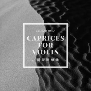 帕格尼尼 小提琴隨想曲 作品1-1琶音