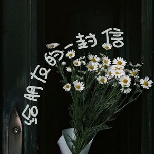 给朋友的一封信