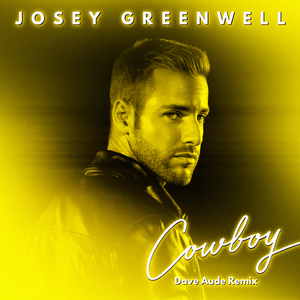 Cowboy (Dave Audé Remix)