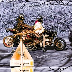 Bike Gold Asphalt (Observer)