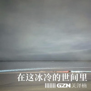 在这冰冷的世间里