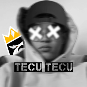 Tecu Tecu