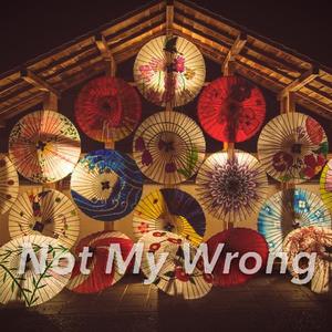 Not My Wrong（翻自 万赛文OneBoi）